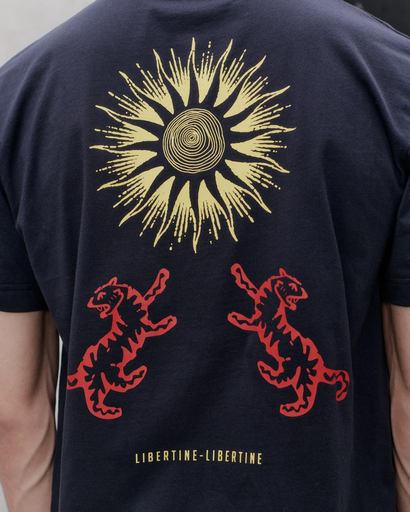 Broke Under The Sun - Image 4